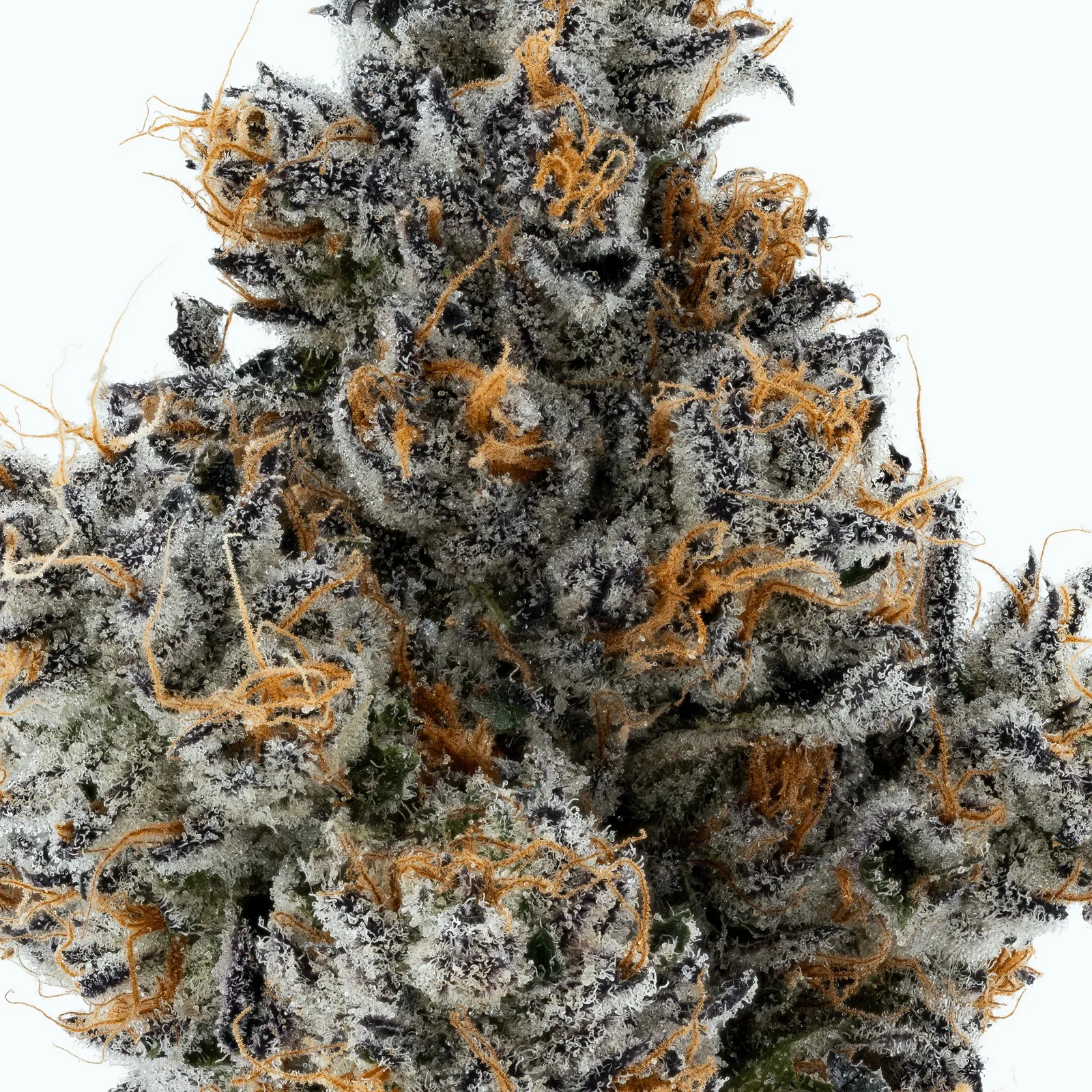 Lumpy's Flowers | PB & Jane | 3.5g Glass Jar