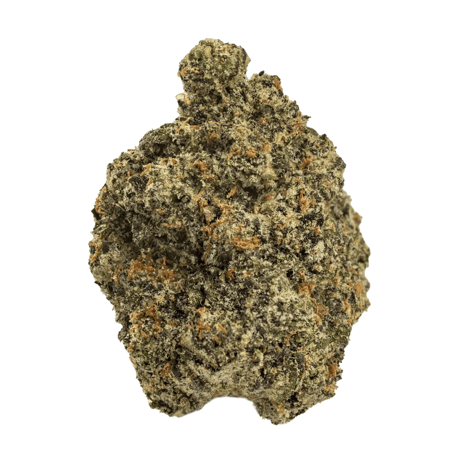 Sherbinskis | Scotti | Big Buds | 1g