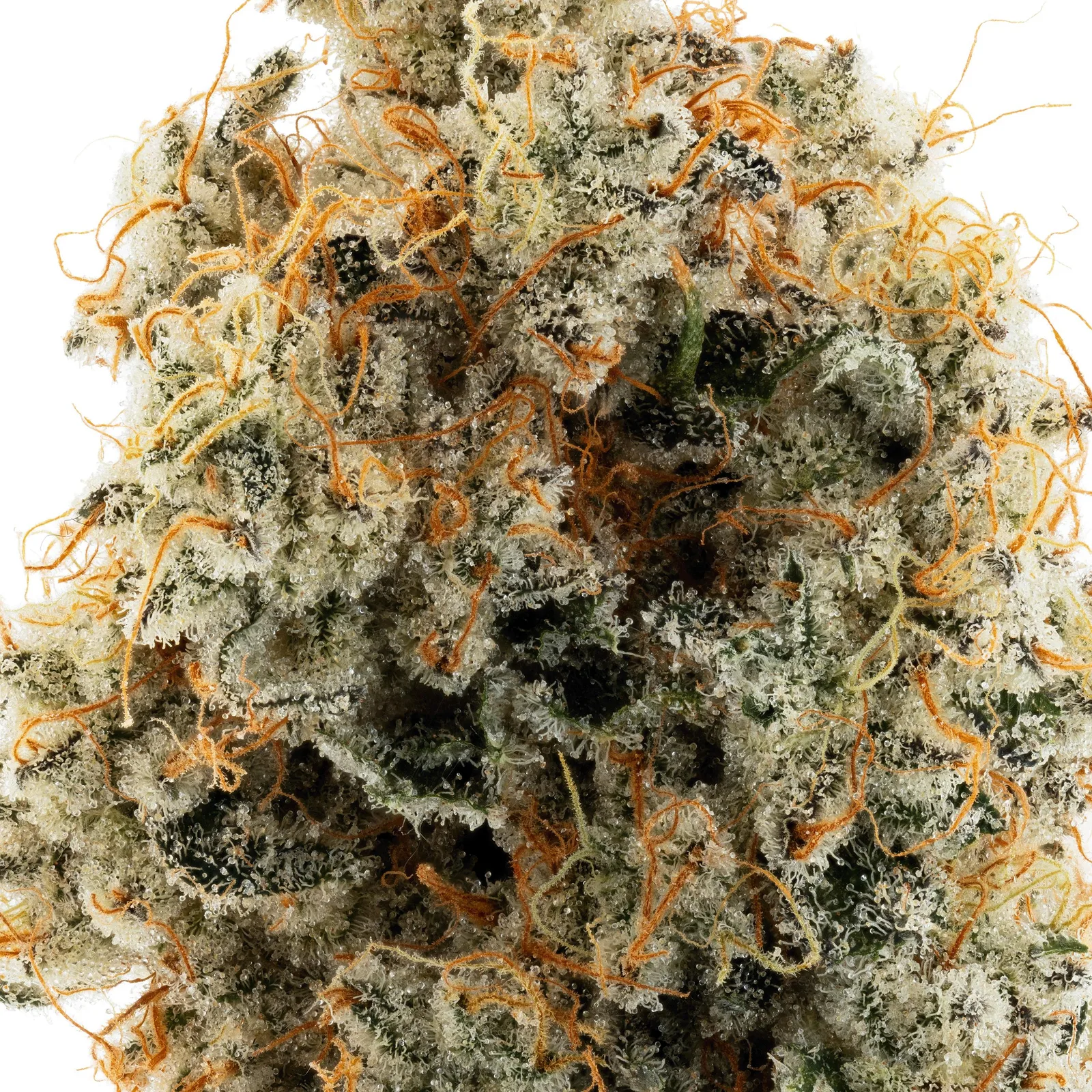 Lumpy's Flowers | Banana Bread | 3.5g Glass Jar