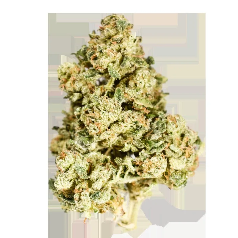Polaris - Chem Brulee