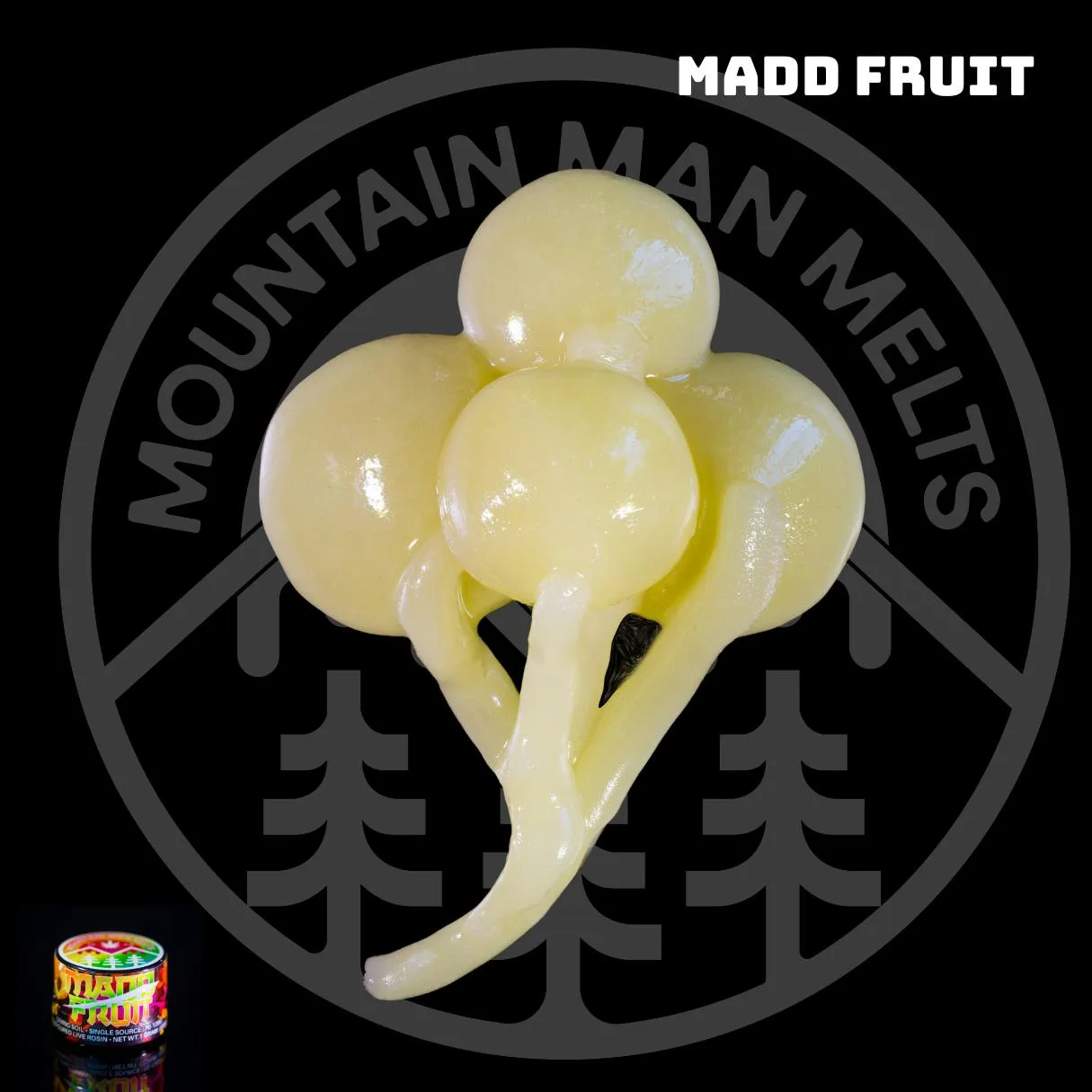 Madd Fruit - Live Rosin