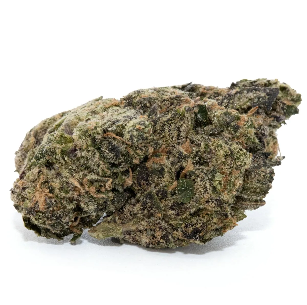 O.B.X. [3.5G]