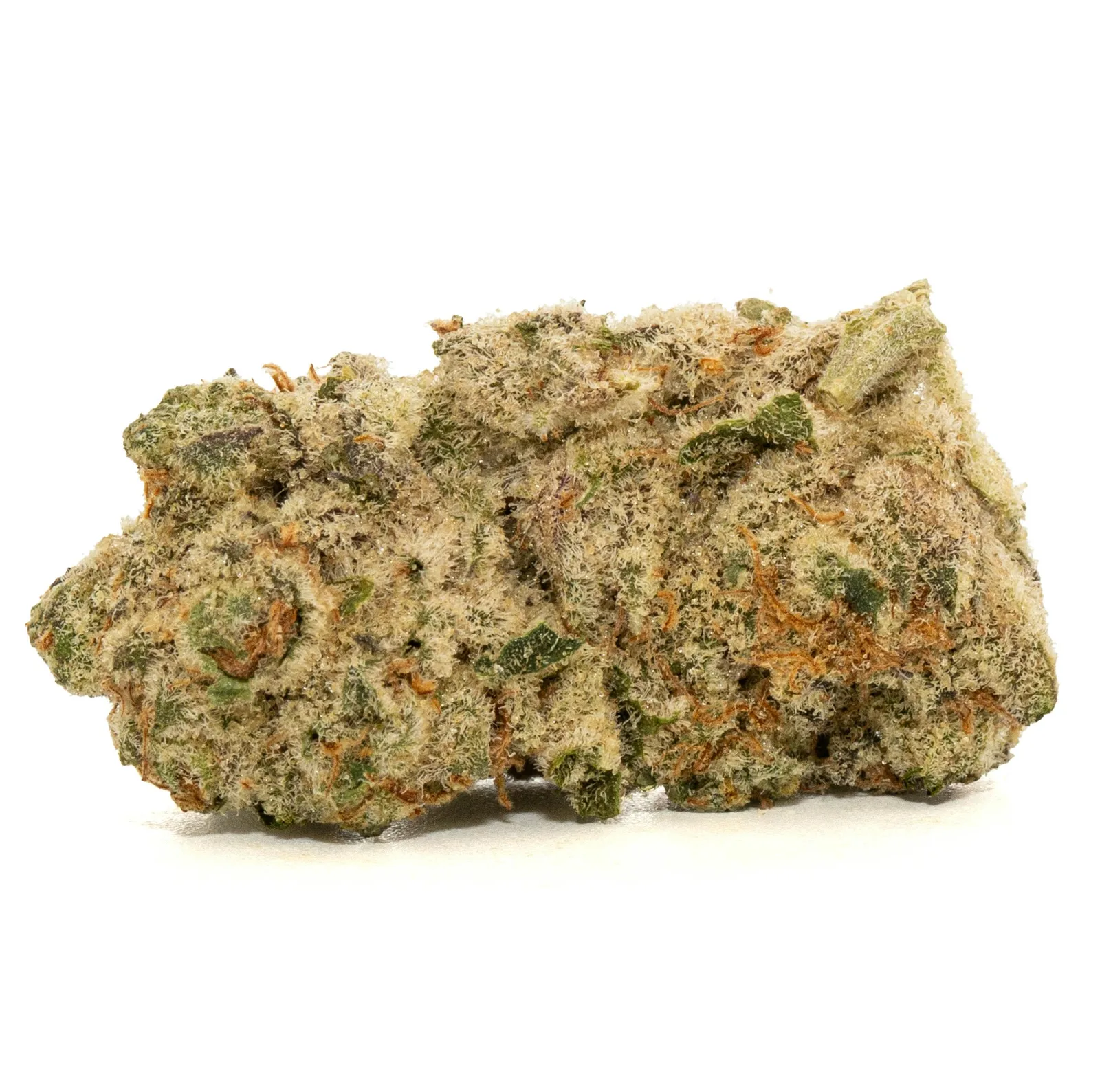 SPACE JUNKY [14G]