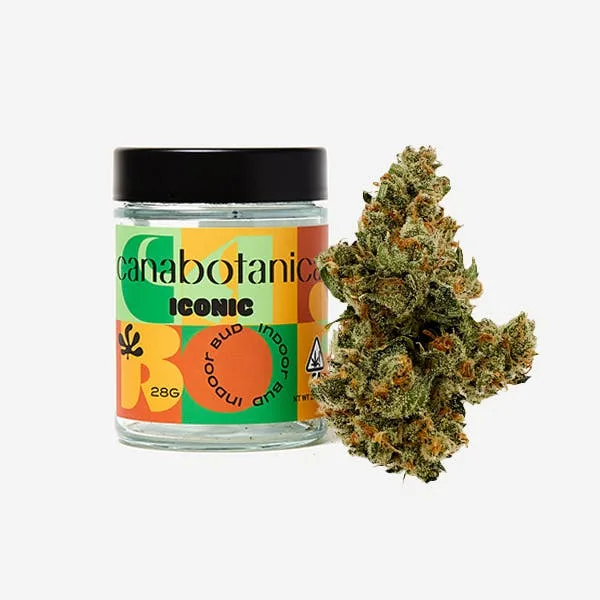 Jack Herer - 28g - Indoor Flower