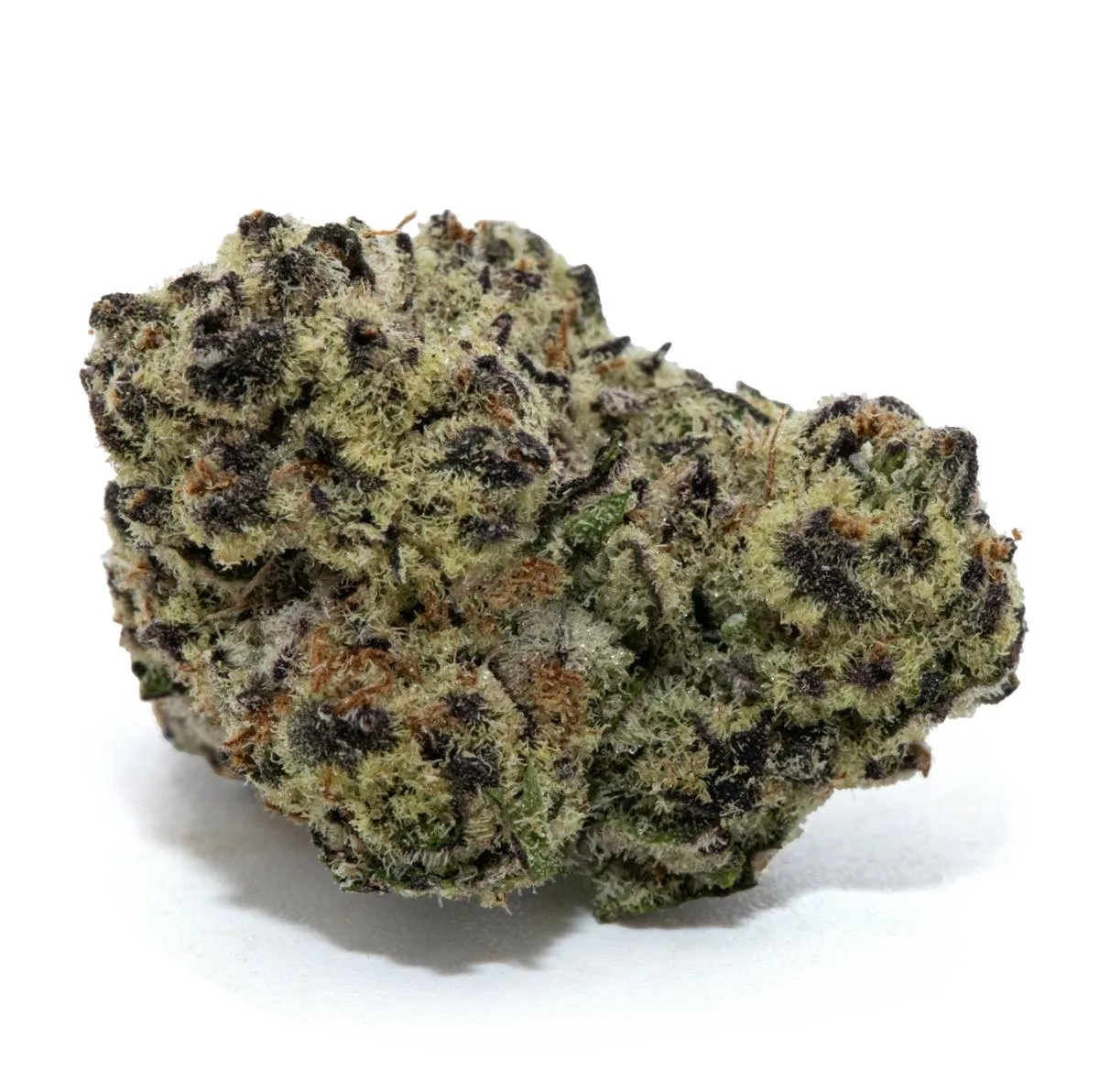FLEX PANTHER [3.5G]