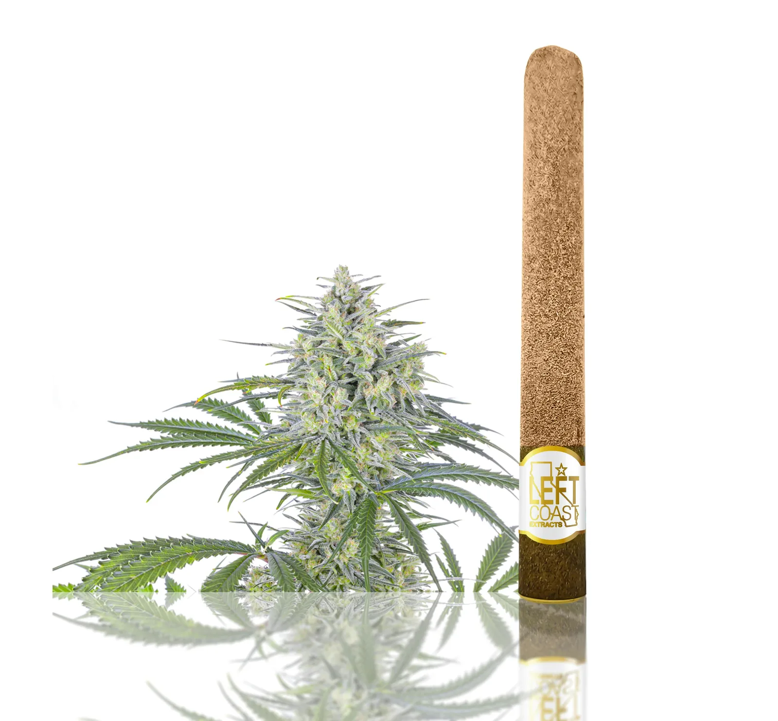Premium Blunt Roll 2.2 Grams -Pineapple Splash-