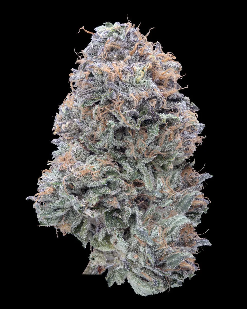 Imperial Grapefruitz