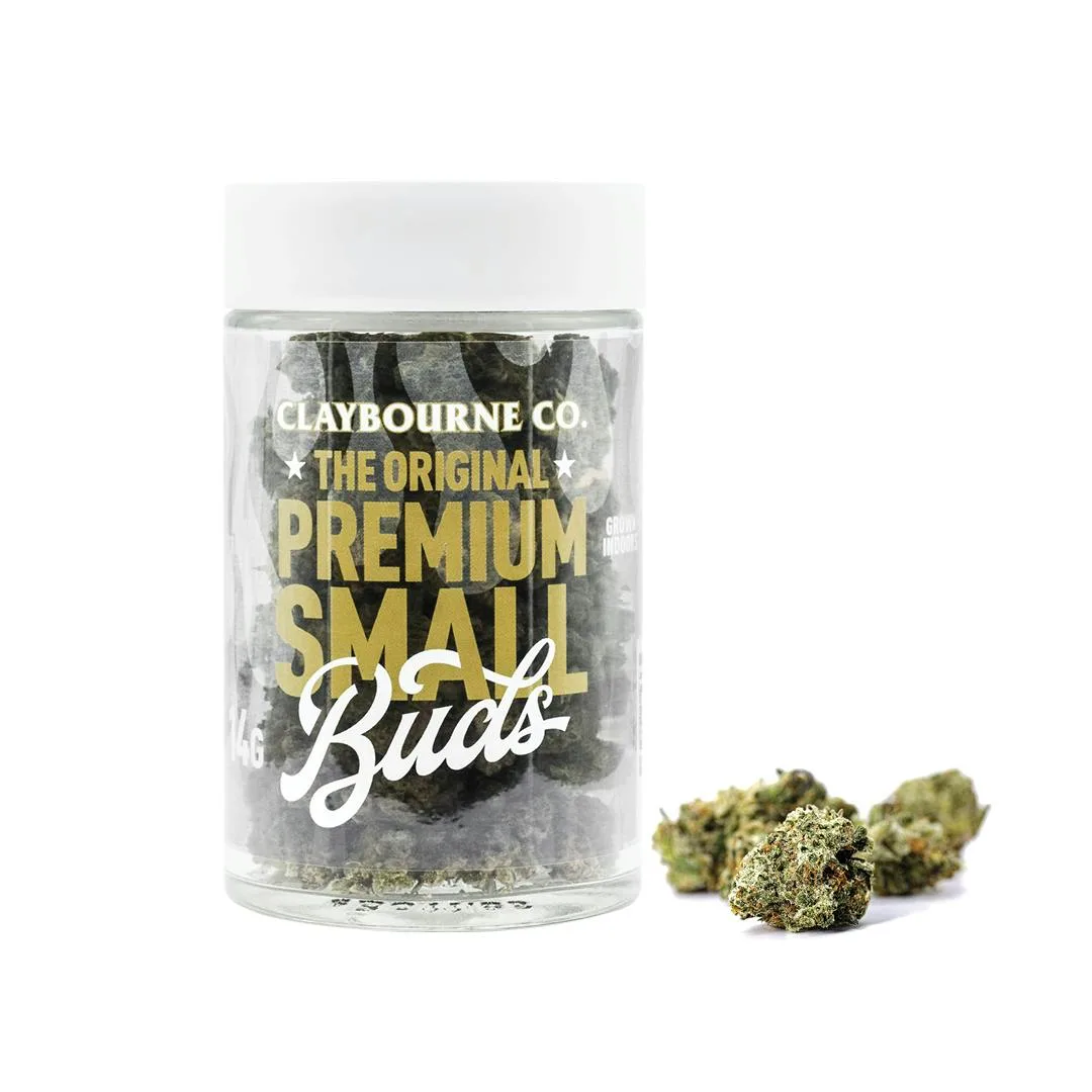Mango Haze (14g) - Small Buds