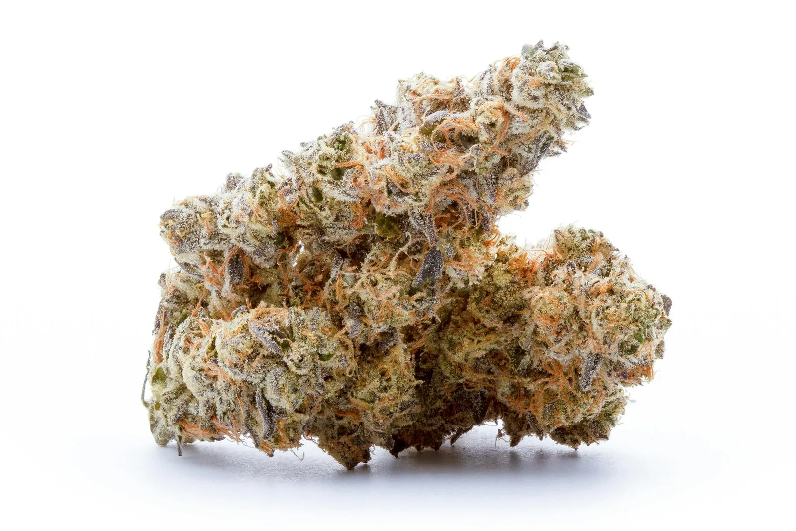 Session GVK 1/2oz