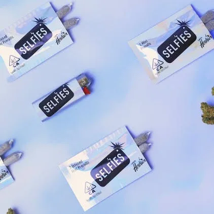 Infused Preroll 2 Pack (.5g) - Blue Dream