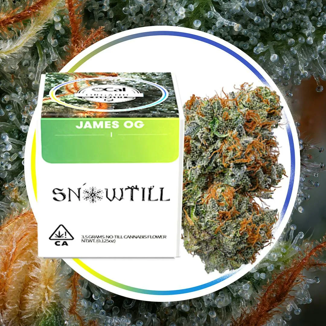 James OG (I)