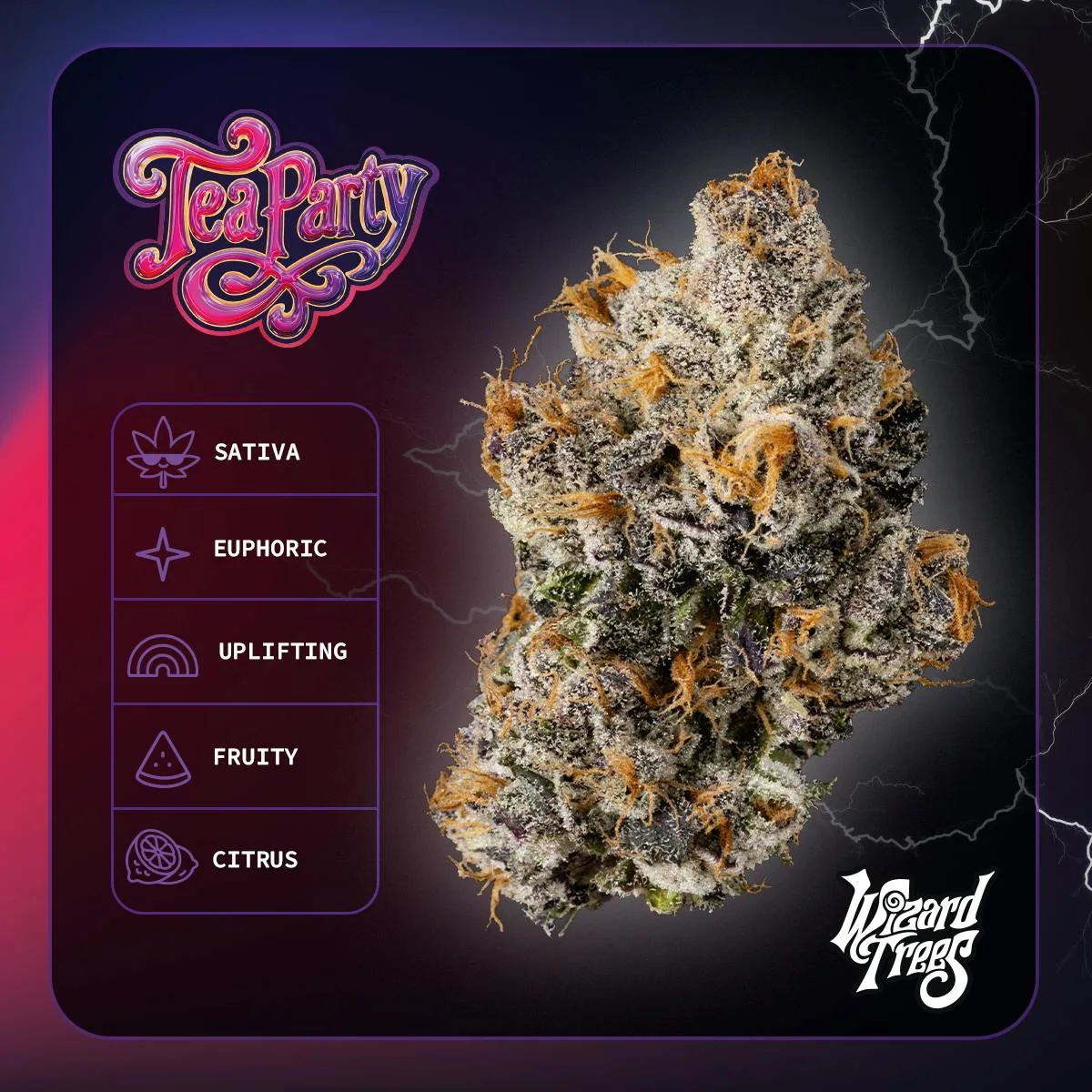 Wizard Trees | 3.5g Flower - Tea Party