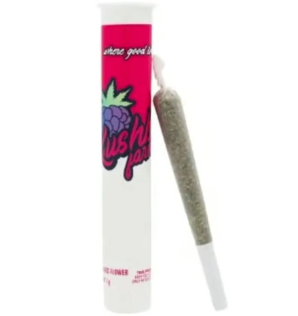 Kushberry Farms | True Mints | PR | 1g