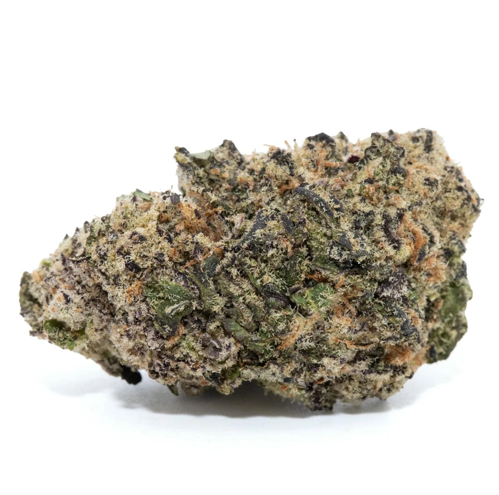 LIZARD CAKE [14G]