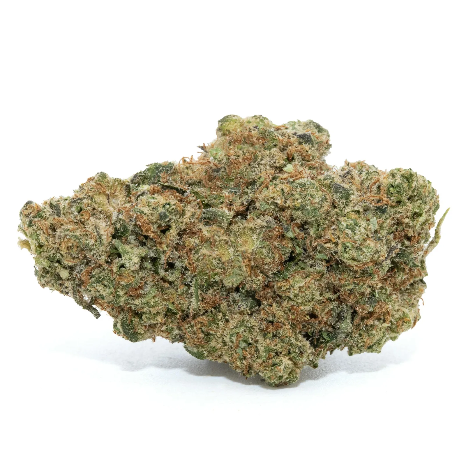 GOLDEN APPLEZ [14G]