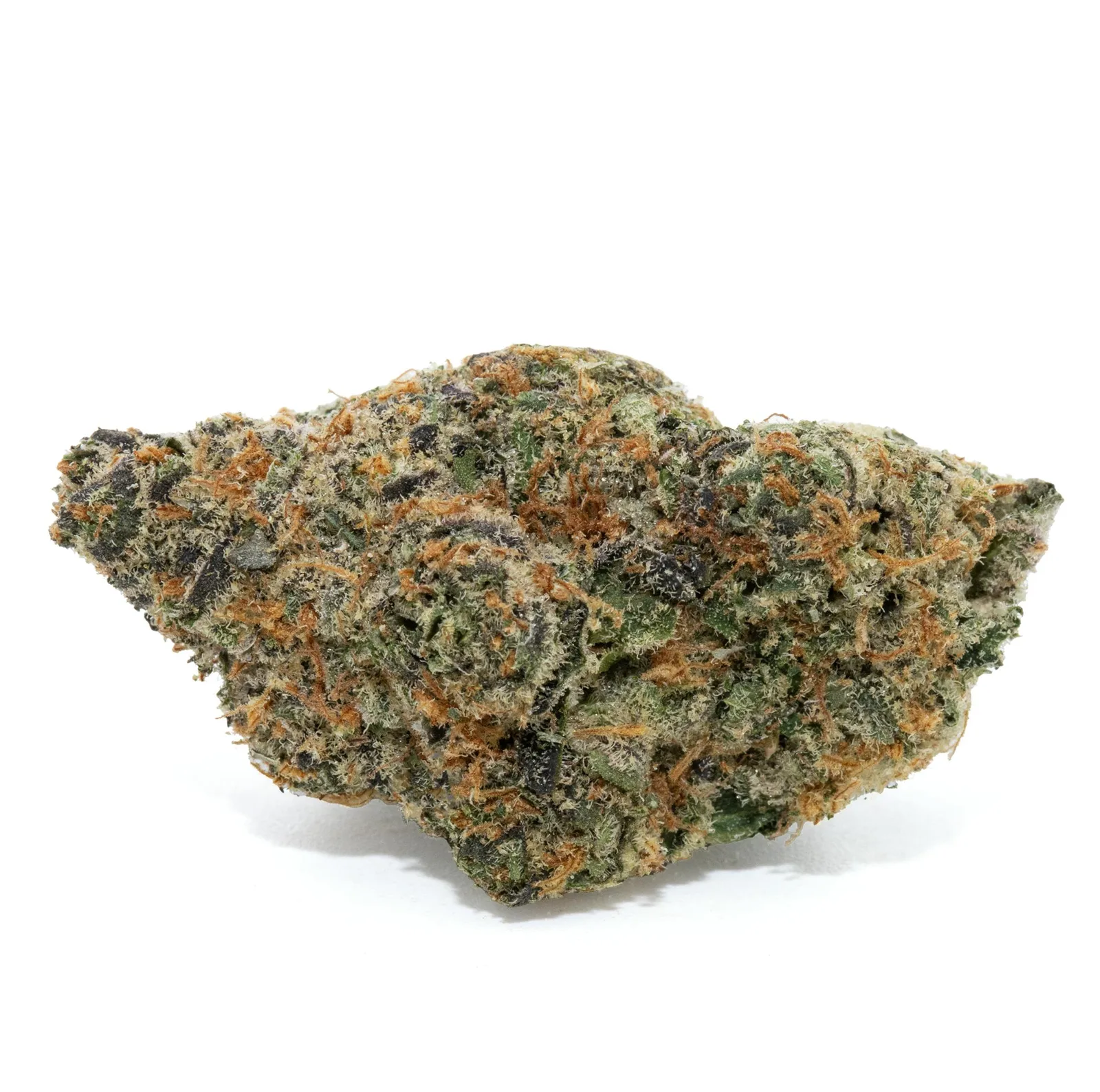 JELLY PIE [14G]