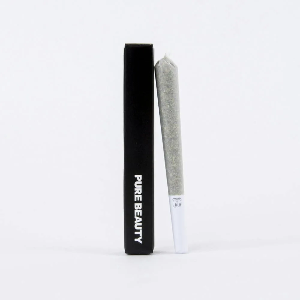 Bermuda Triangle | Single (1g) Pre-Roll | 100% Indoor Flower