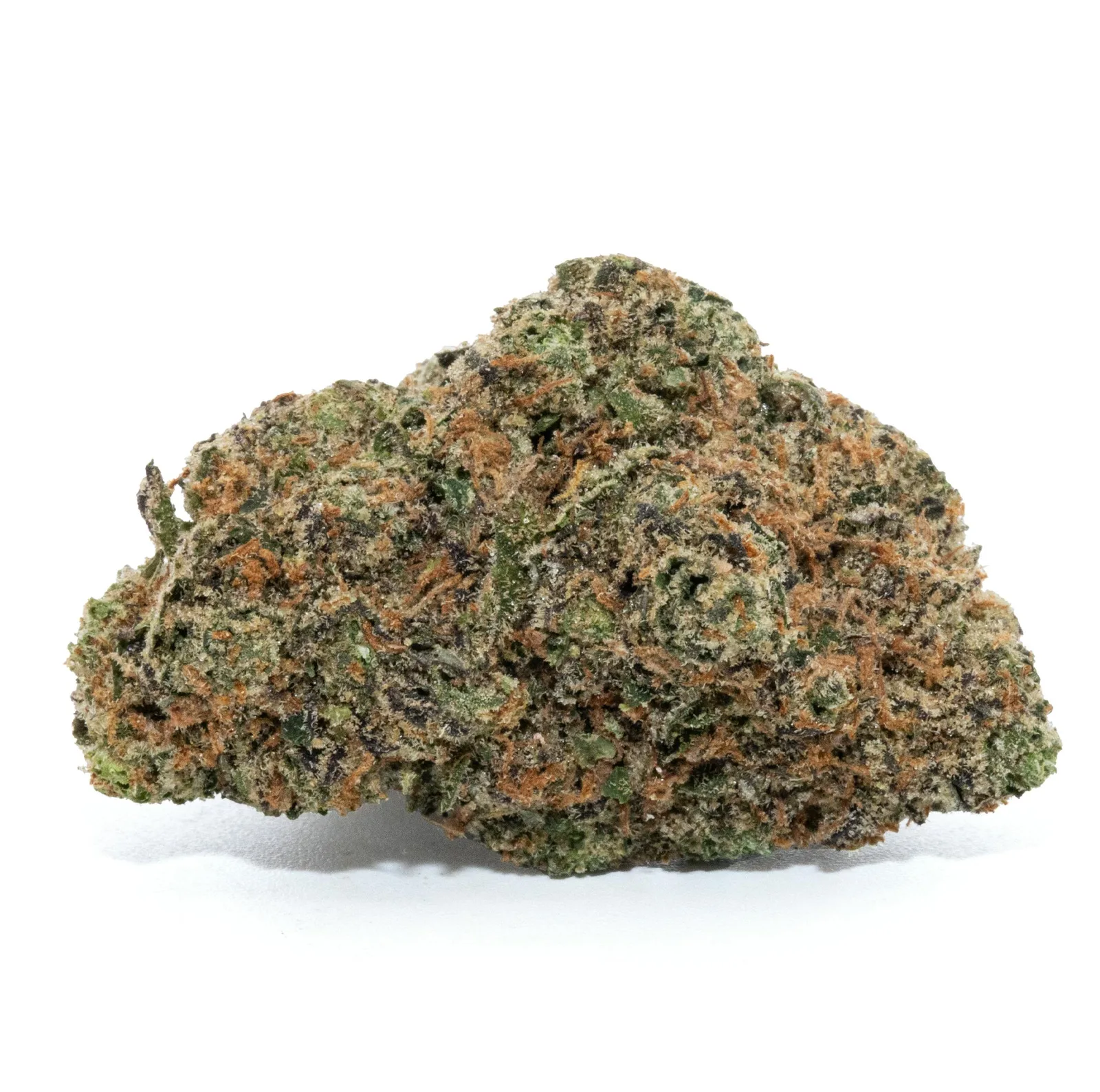 JOKERZ [14G]