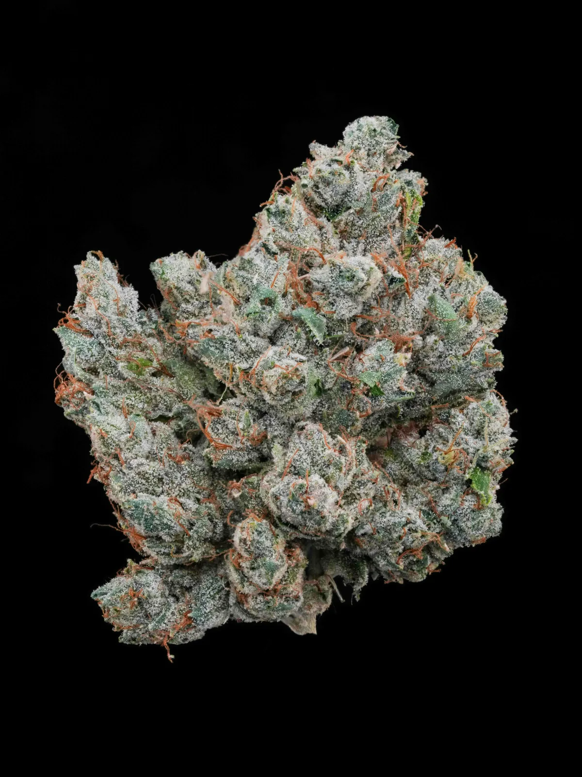 Aether Fields | UFO-G | Big Buds | 3.5g