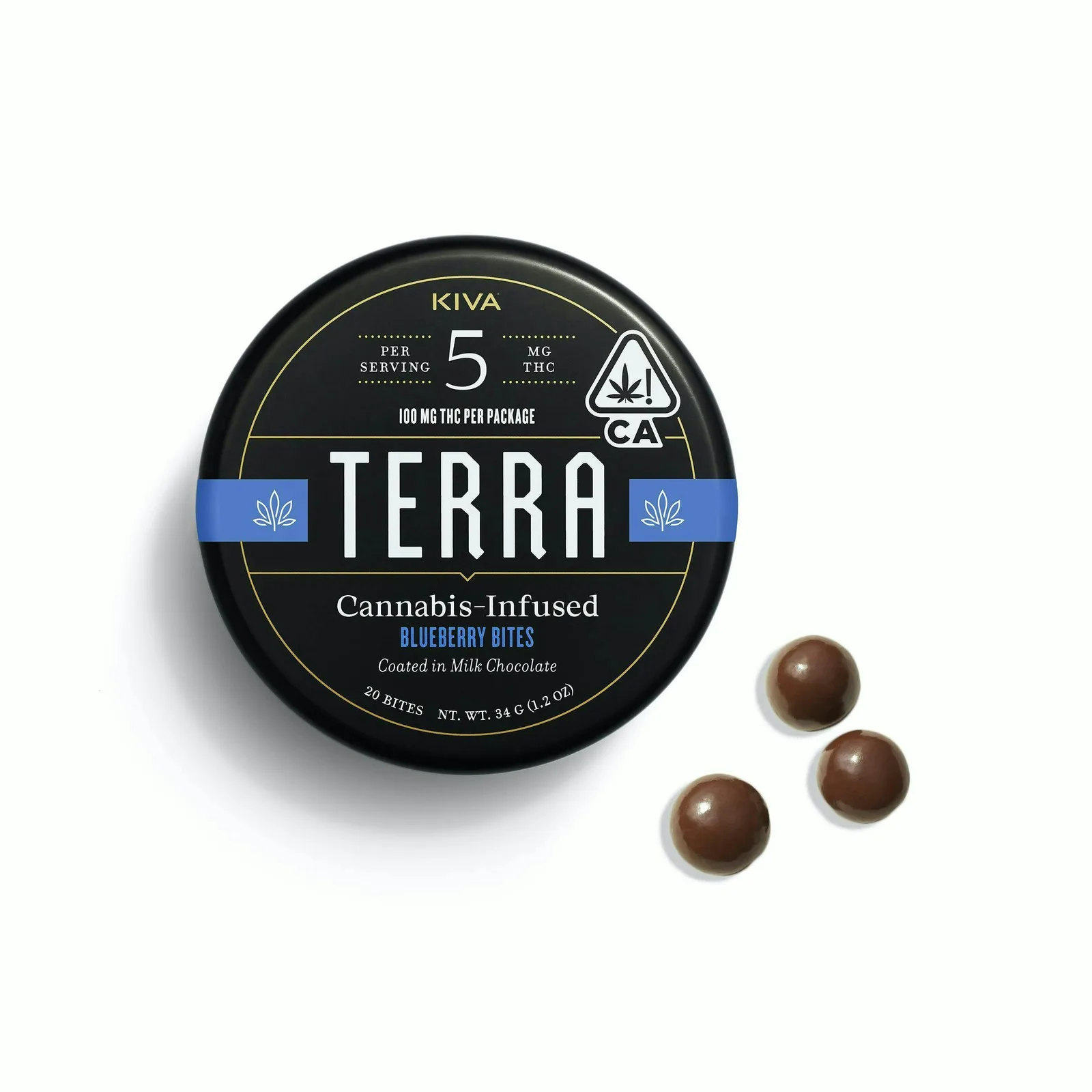 Blueberry | 100mg Terra Bites