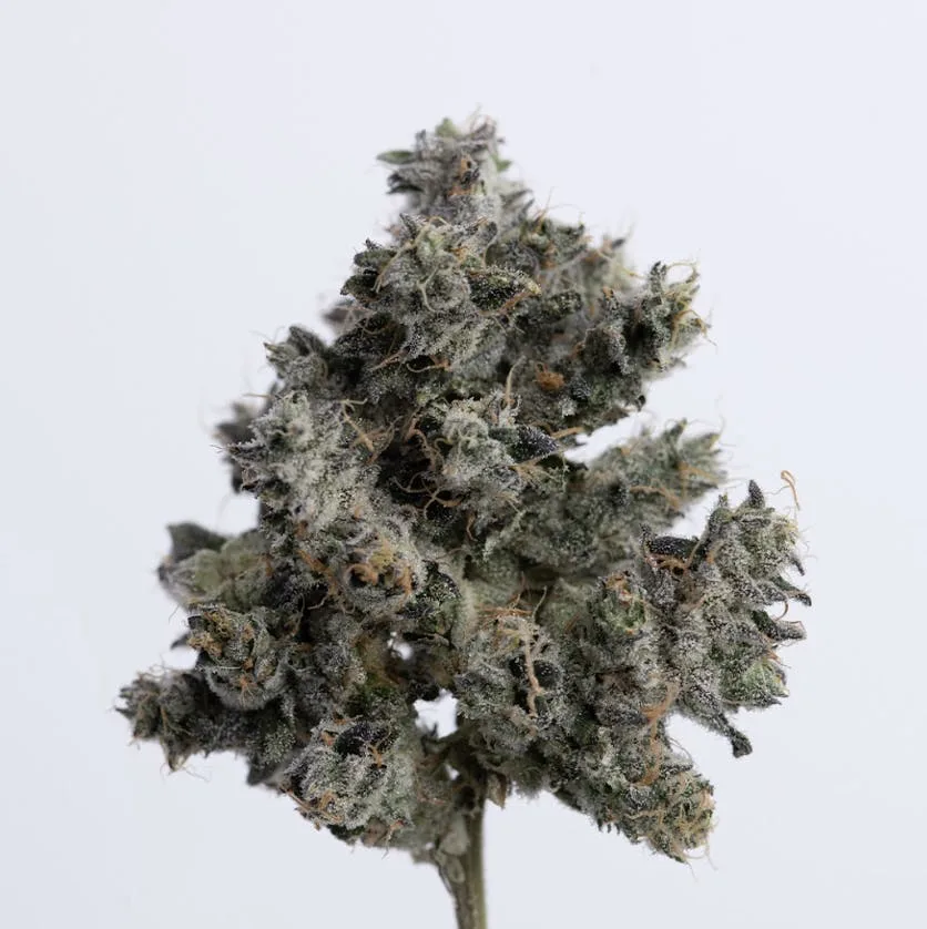 Green Dawg | .357 | Smalls | 7g