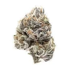 Grower Circle - Pave