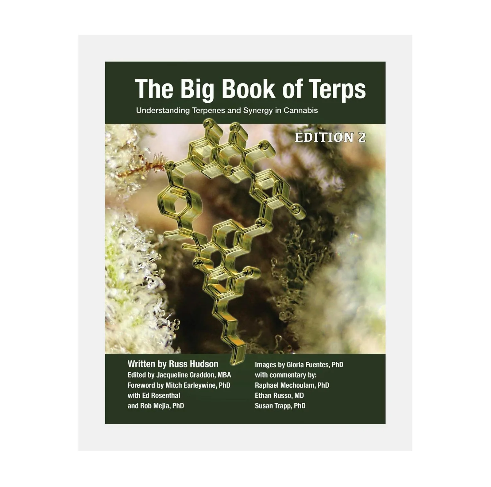 THE BIG BOOK OF TERPS