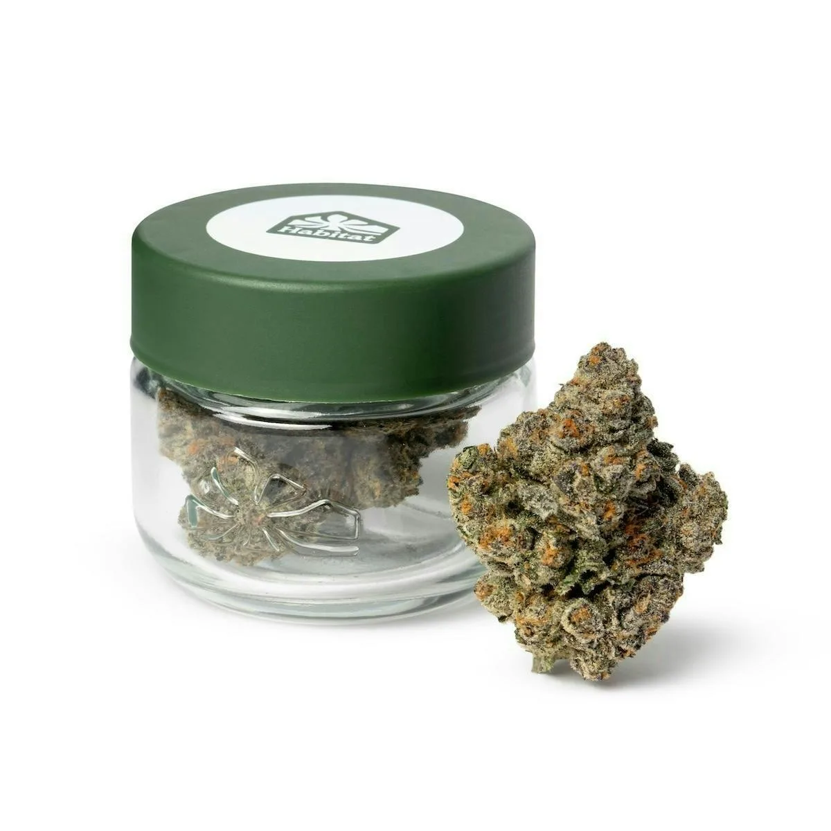 Habitat | Champagne | Big Buds | 3.5g