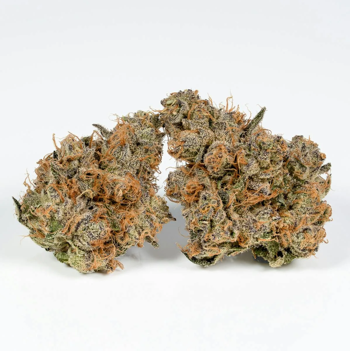 LEMOSA - 3.5g