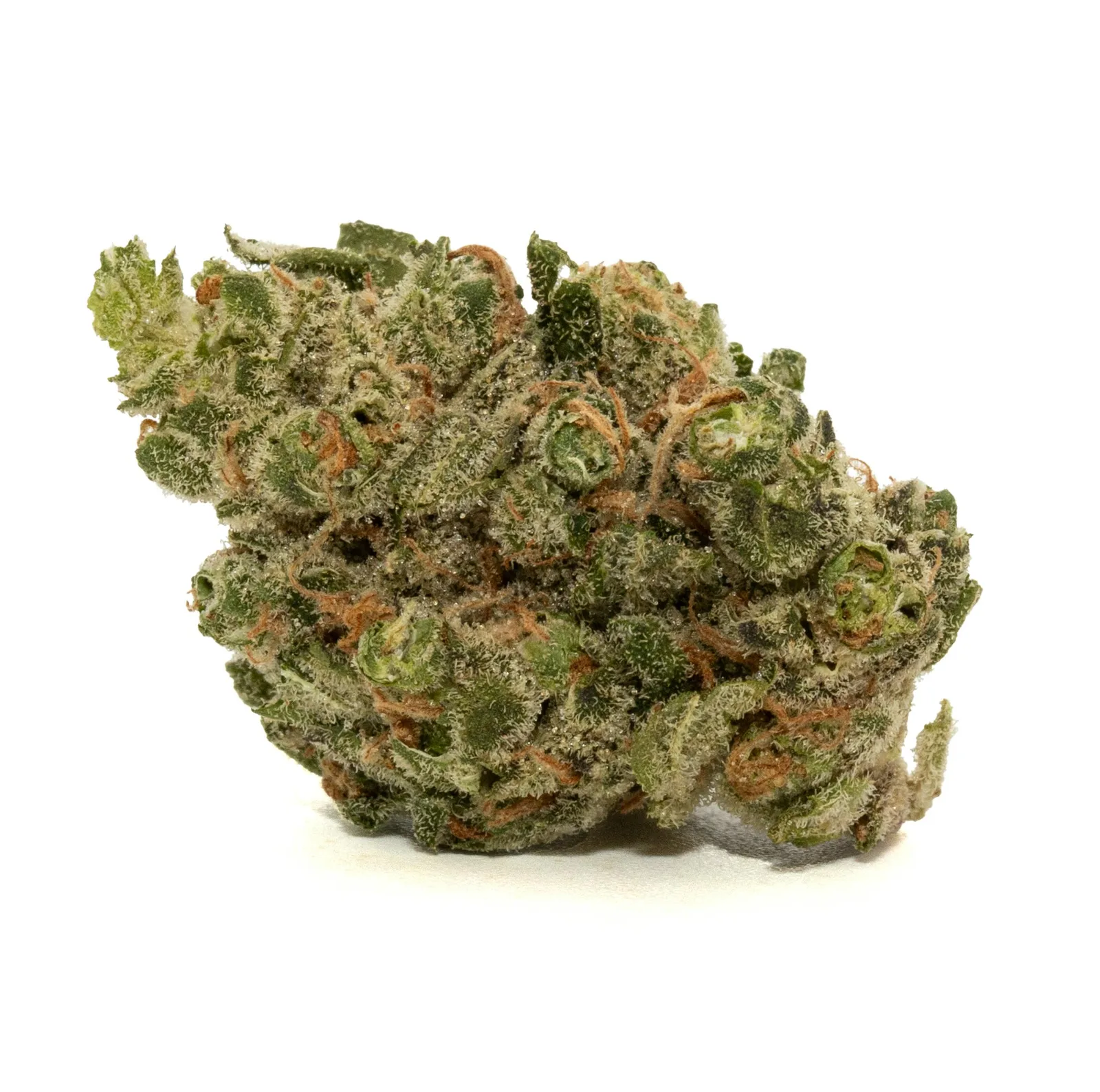 BIOFUEL [3.5G]