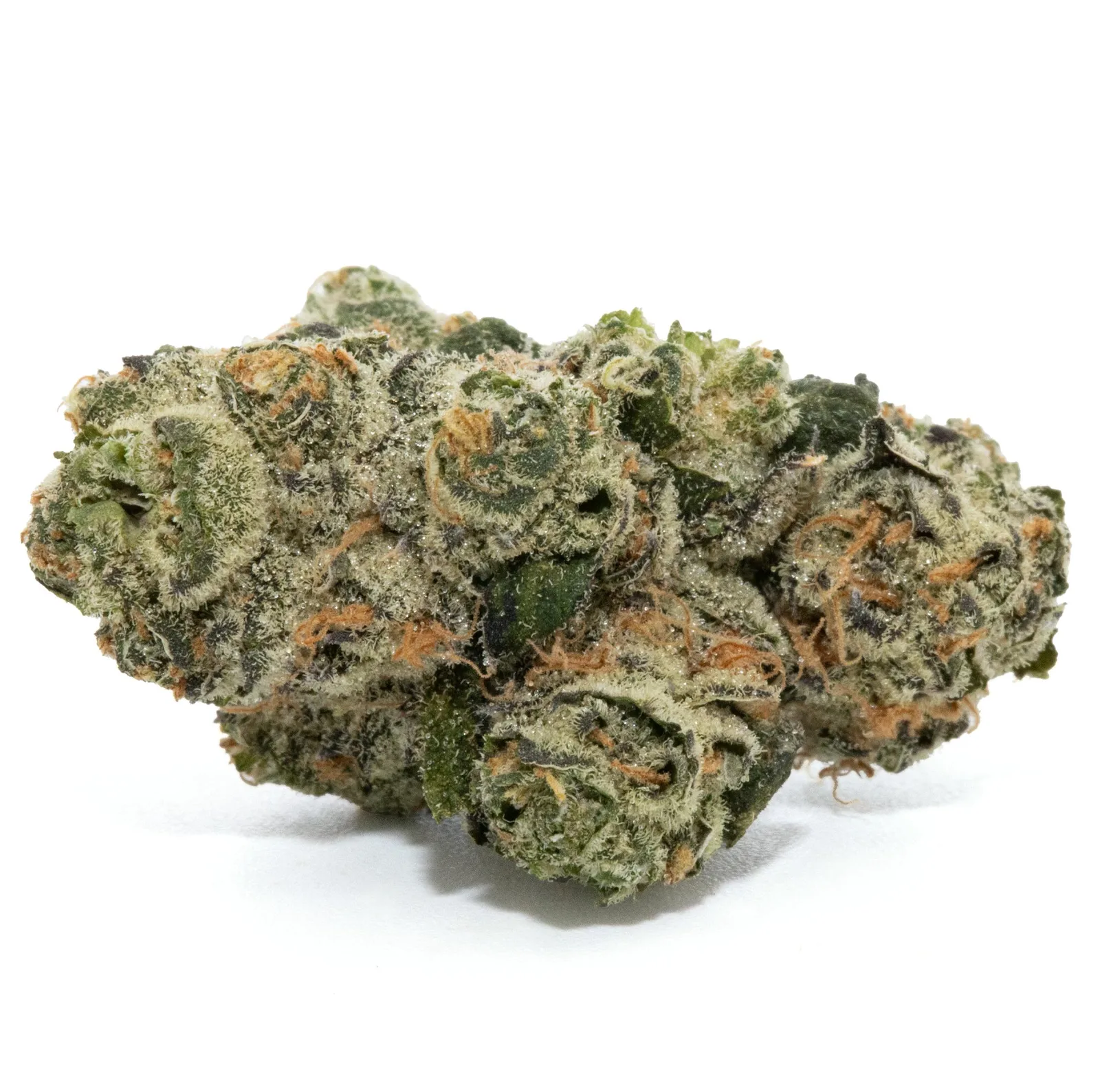 ZERO GRAVITY [3.5G]