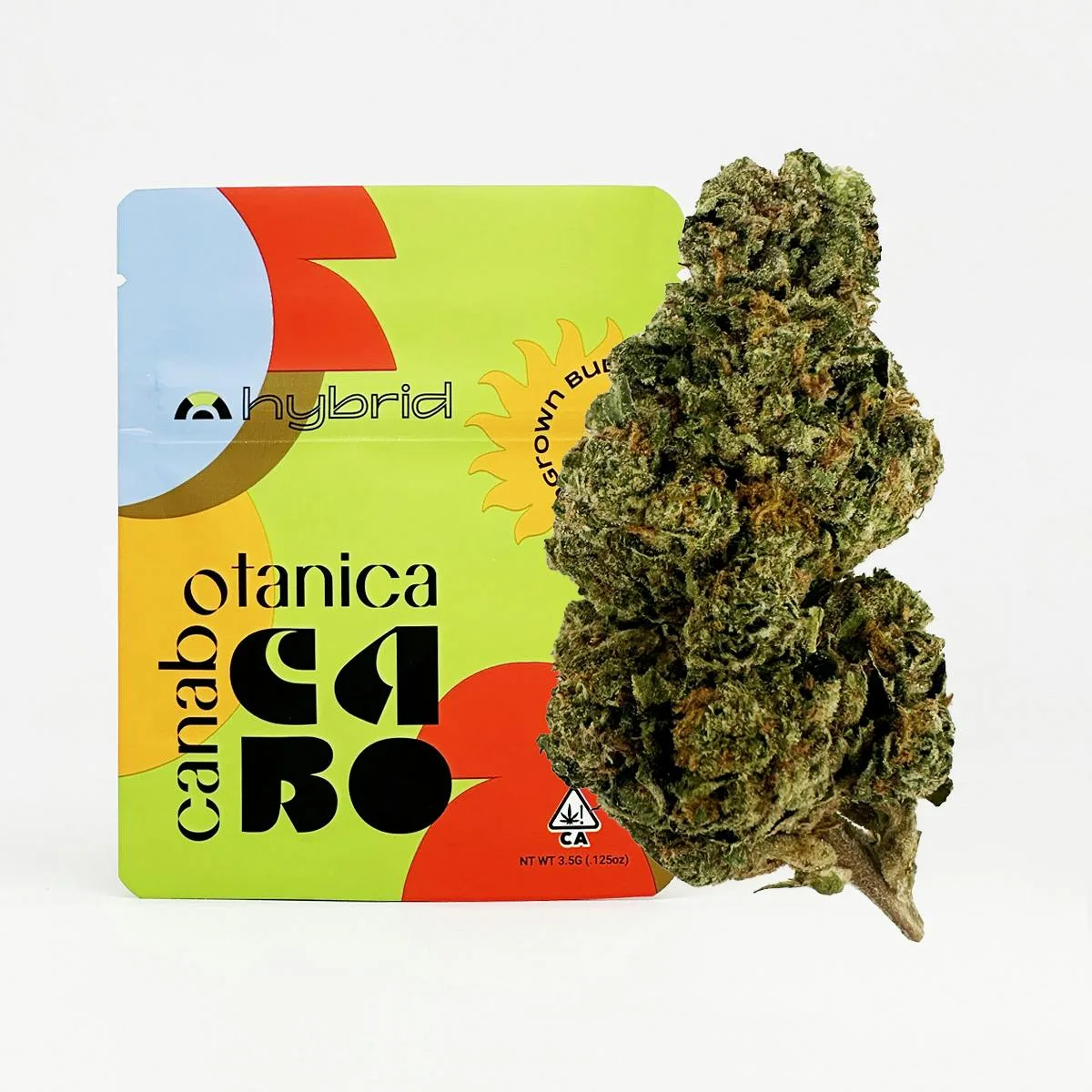 Gelato 41 - 3.5g - Sungrown Flower