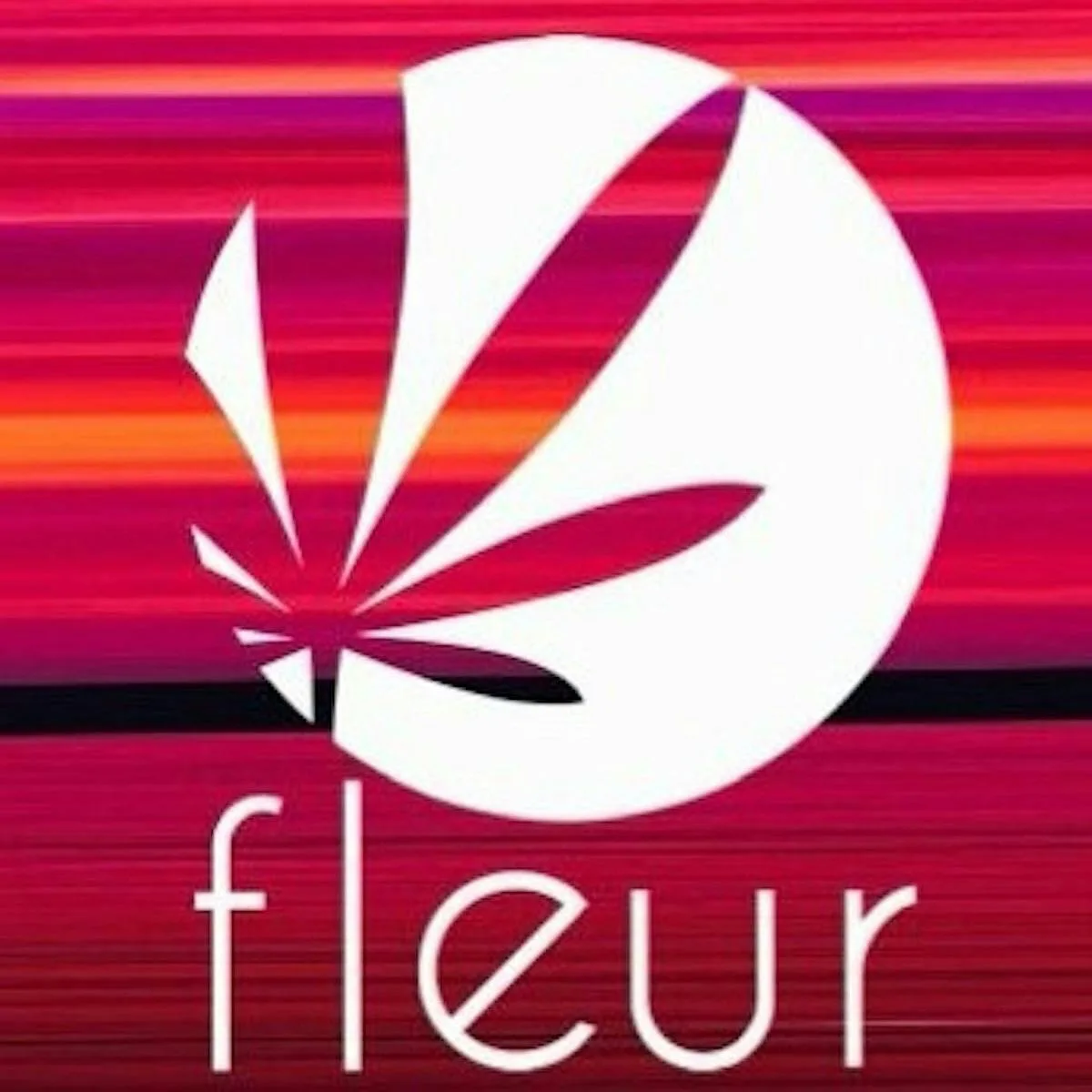 Wookies n' Cream (INDICA) - Fleur - 3.5g - FLR