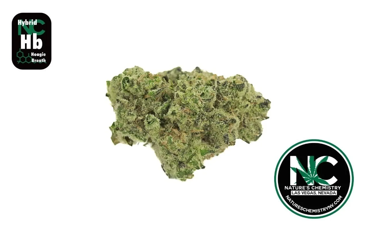 Hoagie Breath (HYBRID) Fat Sack 7g - NCC - Nature's Chemistry