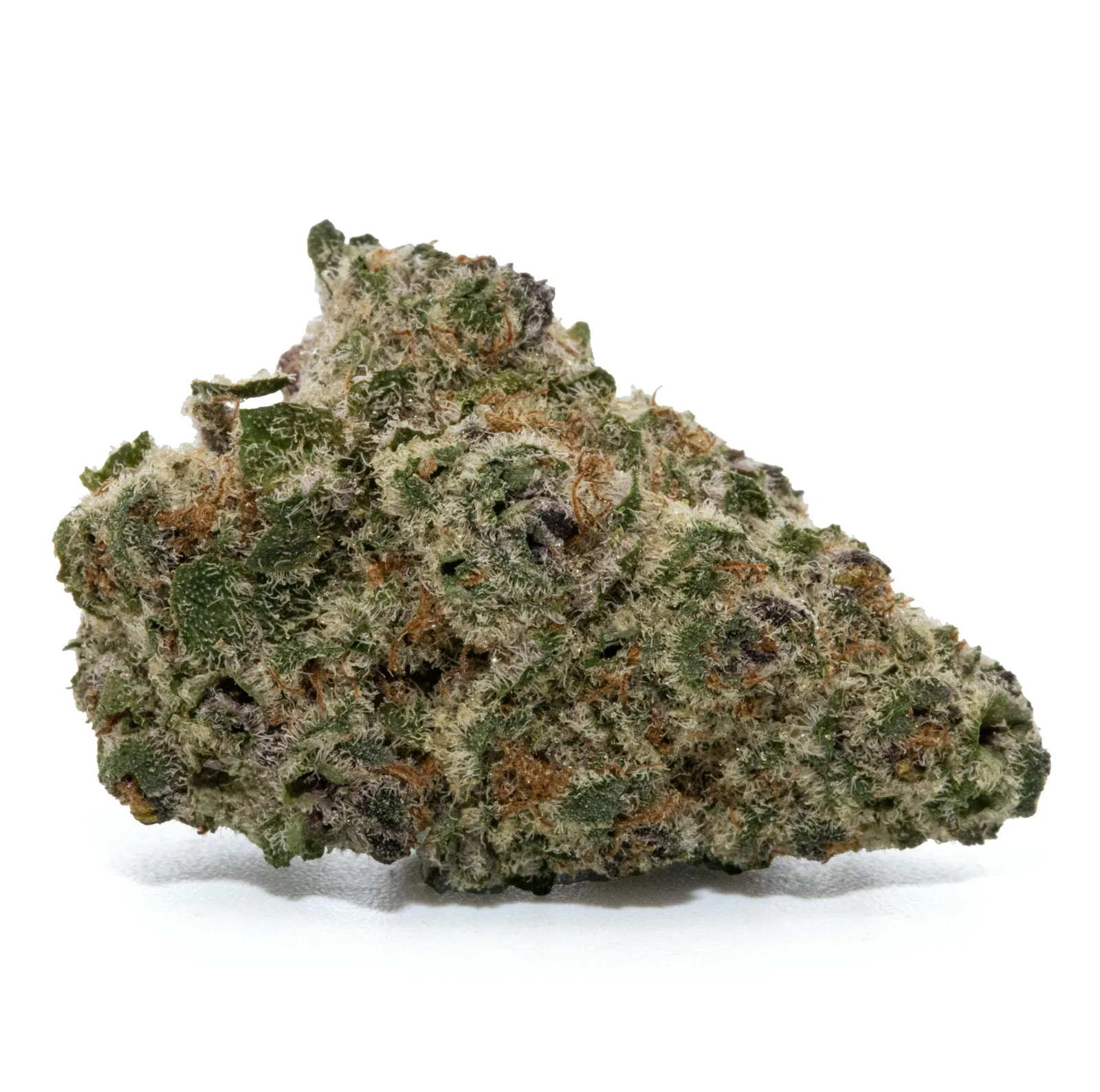 SUB ZERO #12 [14G]
