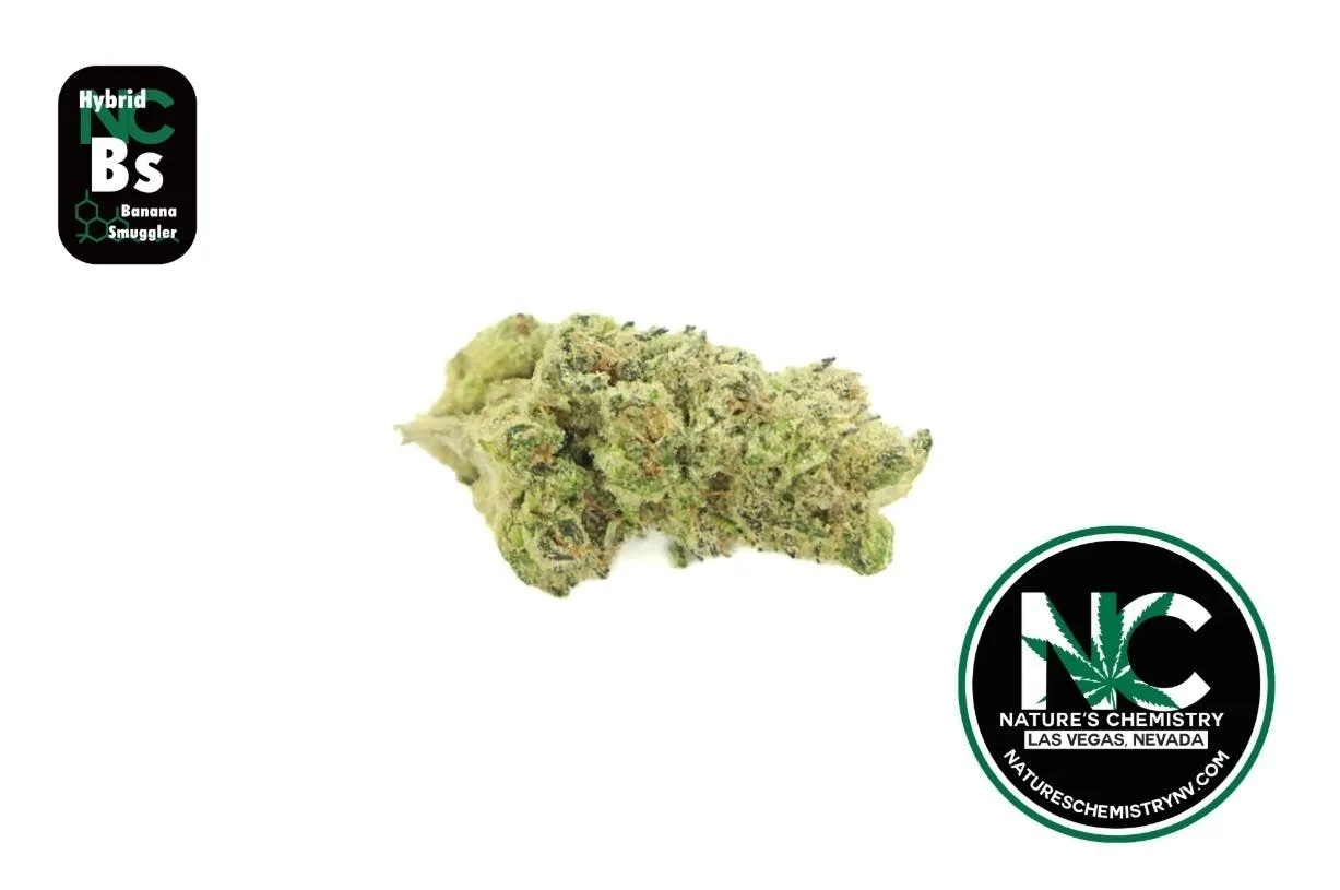 Banana Smuggler (HYBRID) Fat Sack 7g (Popcorn) - NCC - Nature's Chemistry