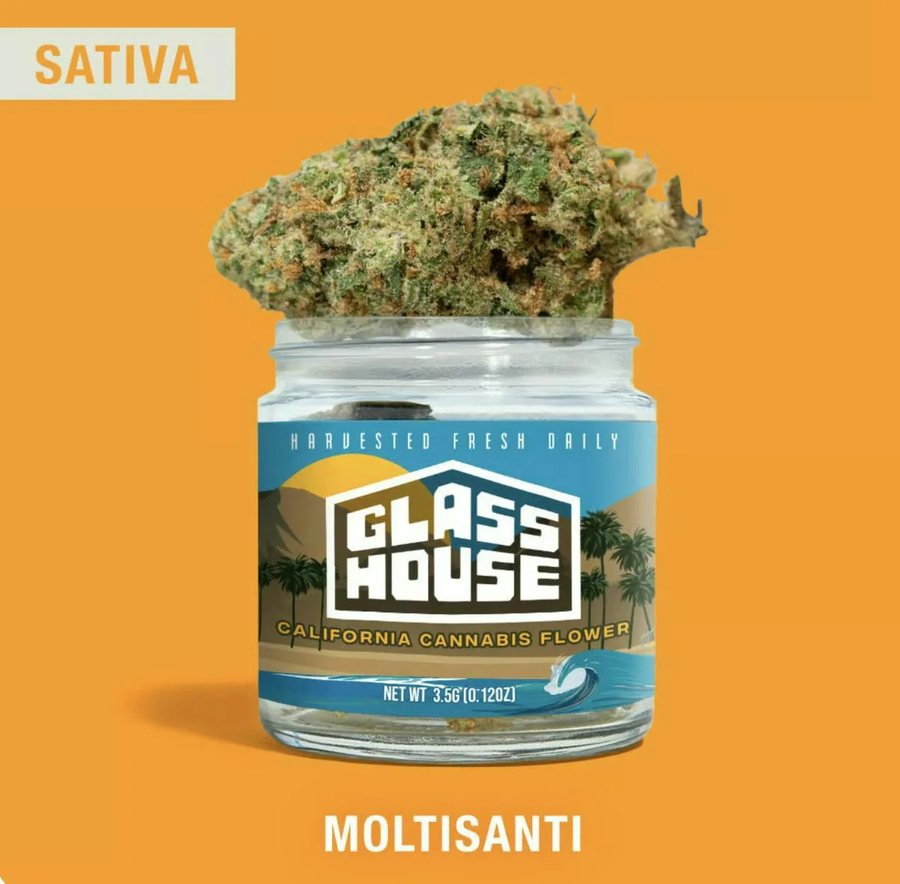 Moltisanti [3.5g Jar]