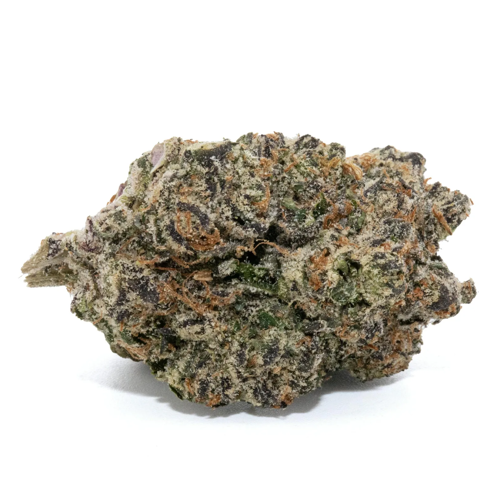CREAM PIE [7G]