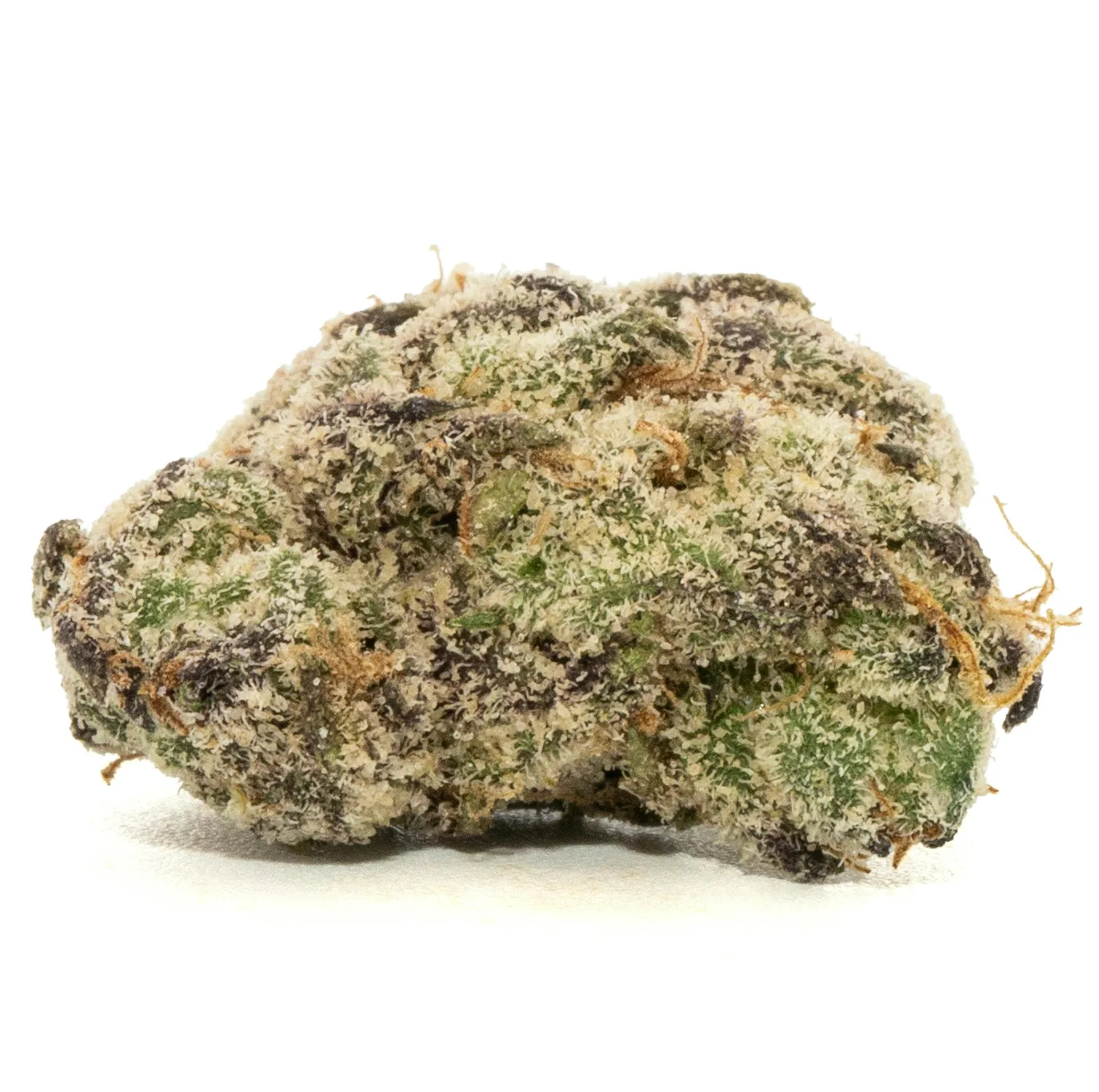 BLUE GUAVA B BUD [14G]
