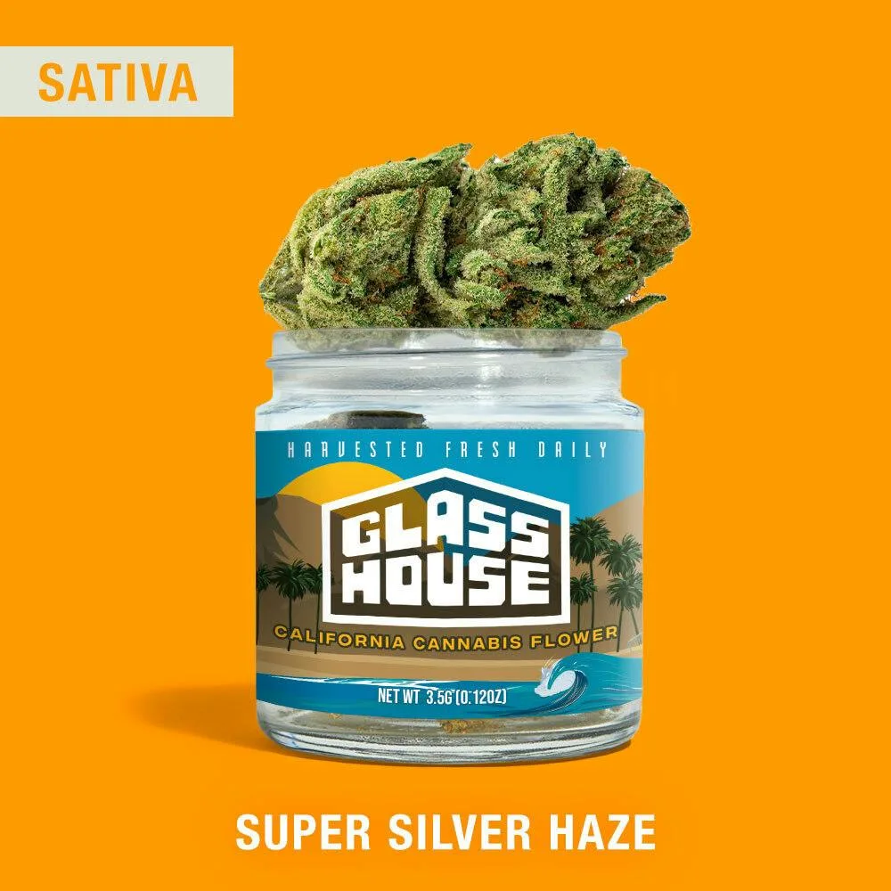 Super Silver Haze [3.5g Jar]