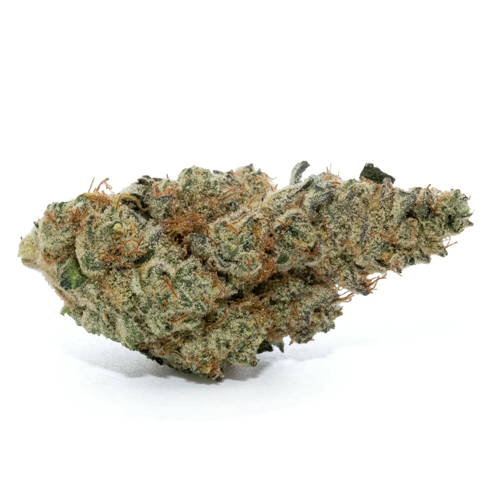 THE JUICE [3.5G]