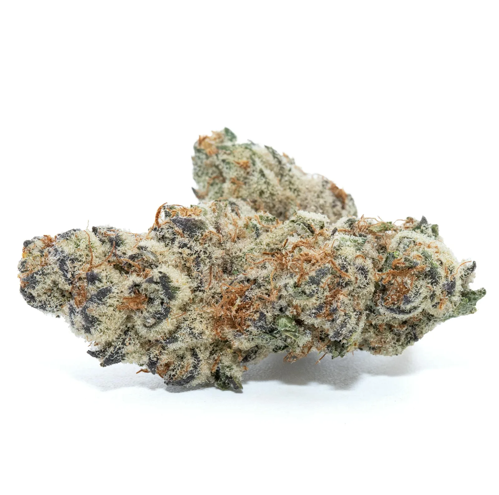 TRICHO JORDAN [3.5G]