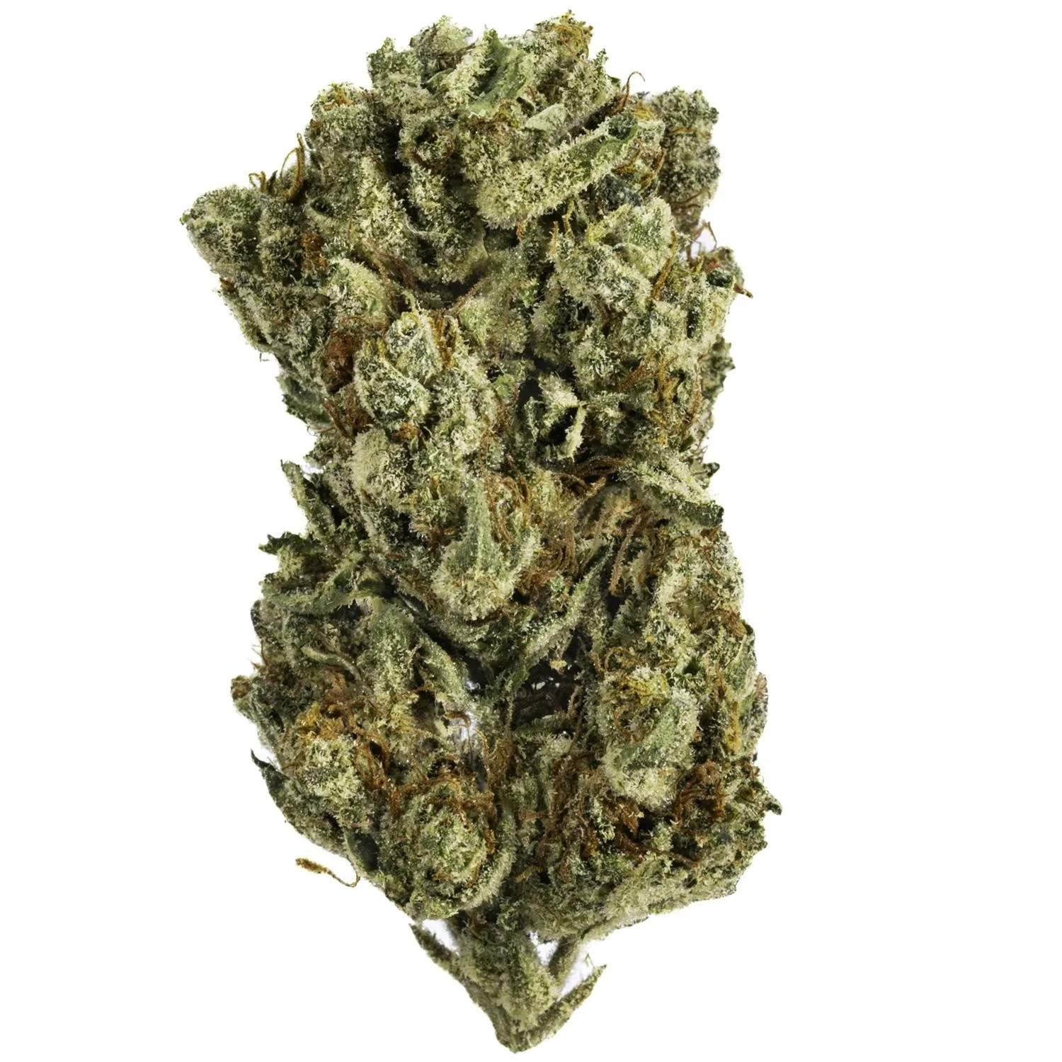 Guava Gelato - 14G Premium Flower