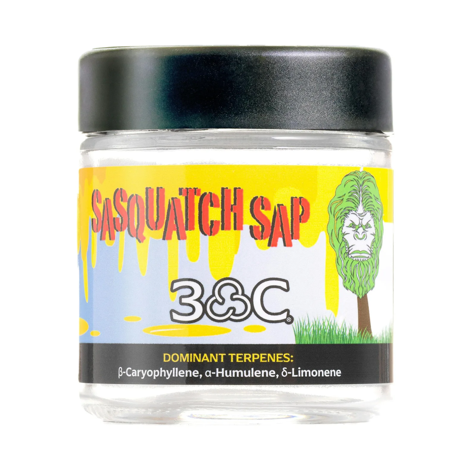 3C | Sasquatch Sap - 8th