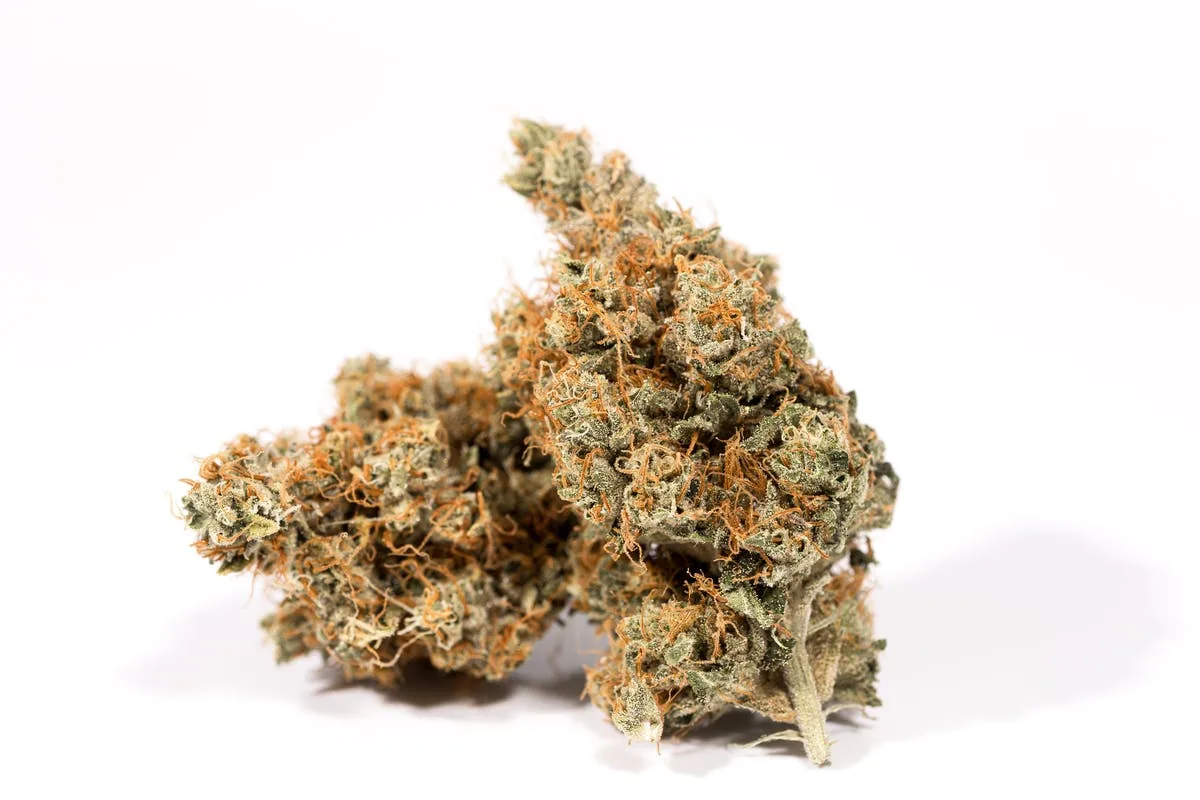GLP - HAZMAT OG 3.50G
