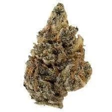 Safety Meeting: Essentials - Futura Haze (14G)