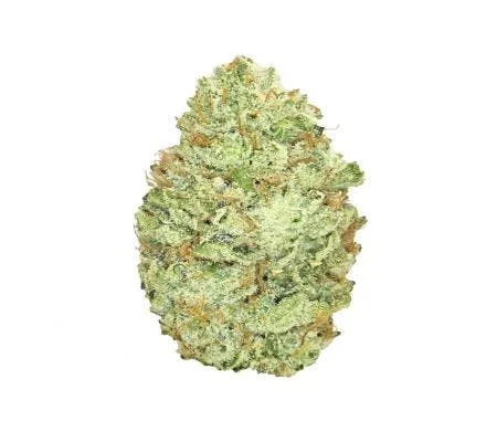 SUPERGLUE #4 *EXOTIC* (H)
