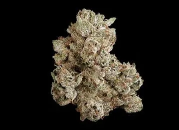 CAKE BATTER (INDICA) 36.91% THC TIER 1