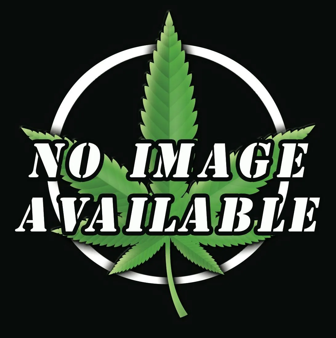 528 - Tropical Punch - 1 Gram