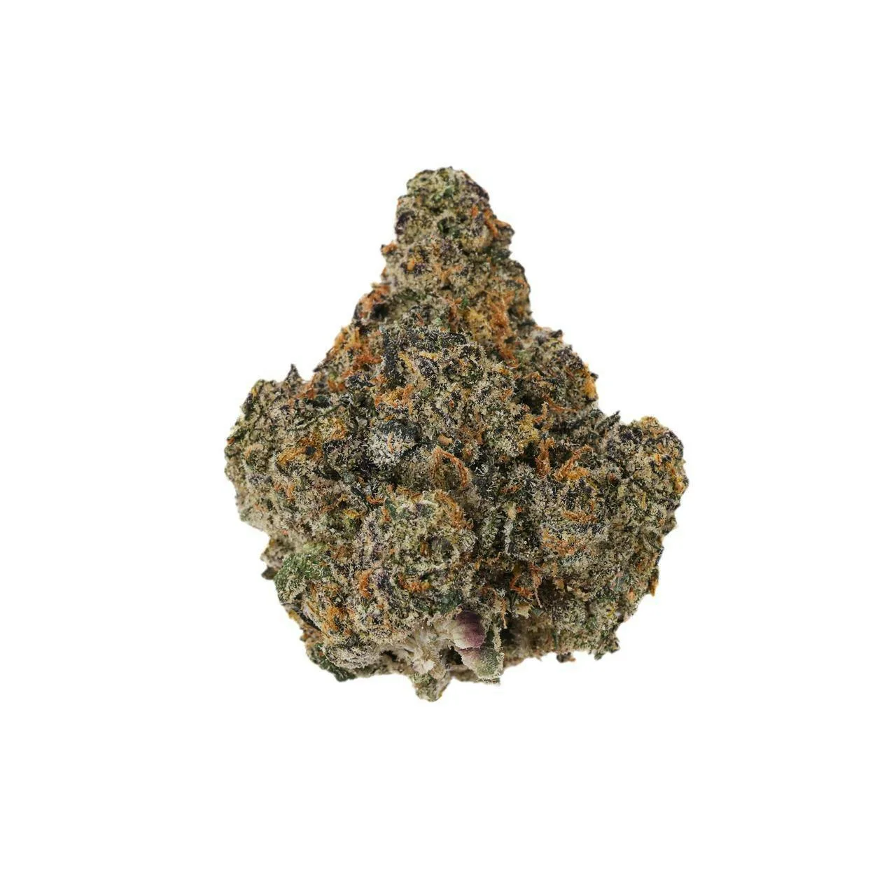 PURPLE CHAMPAGNE - EX PREMIUM SHELF FLOWER